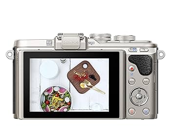 ミラーレス一眼OLYMPUS PEN E-PL8 単焦点/ズーム OLYMPUS PEN E-PL8を徹底解説。作例からおすすめレンズまで